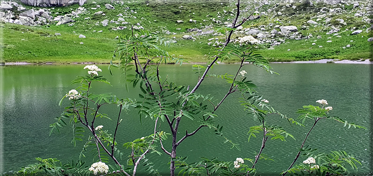 foto Lago dei Aseni
